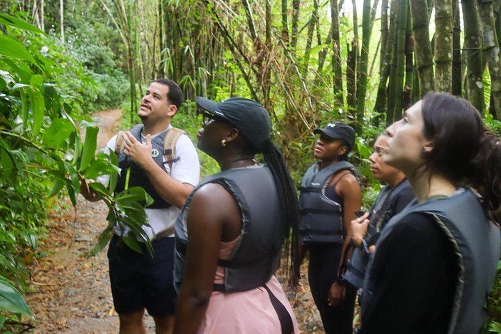 El Yunque Convoy Hike from Fajardo: Waterslides, Waterfalls and Cliff Jumps (10/12)