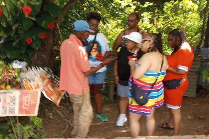 Private Dunn's River Falls Climb with Ocho Rios Sightseeing and Shopping (12/12)