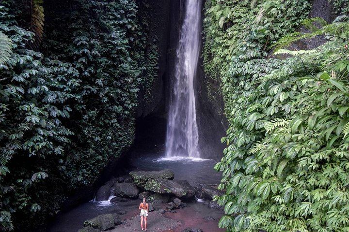 Private Bali Day Tour: Leke-Leke Waterfall, Handara Gate, Ulun Danu Bratan, Taman Ayun (6/7)