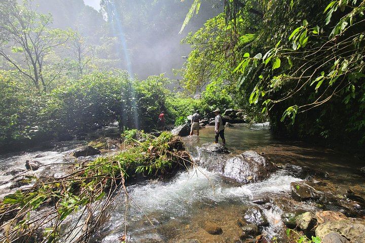 Lemukih Village Trek with Natural Waterslide, Water Jump, Sekumpul and Fiji Falls (12/12)