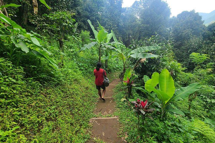 Lemukih Village Trek with Natural Waterslide, Water Jump, Sekumpul and Fiji Falls (7/12)