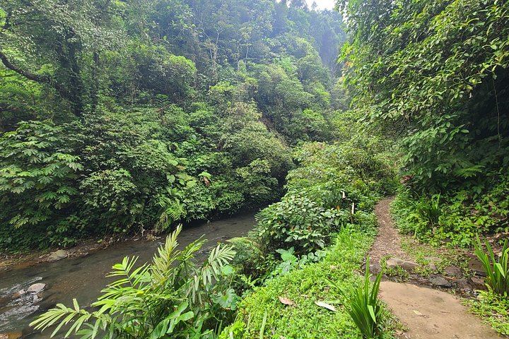 Lemukih Village Trek with Natural Waterslide, Water Jump, Sekumpul and Fiji Falls (9/12)