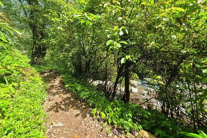 Lemukih Village Trek with Natural Waterslide, Water Jump, Sekumpul and Fiji Falls (11/12)