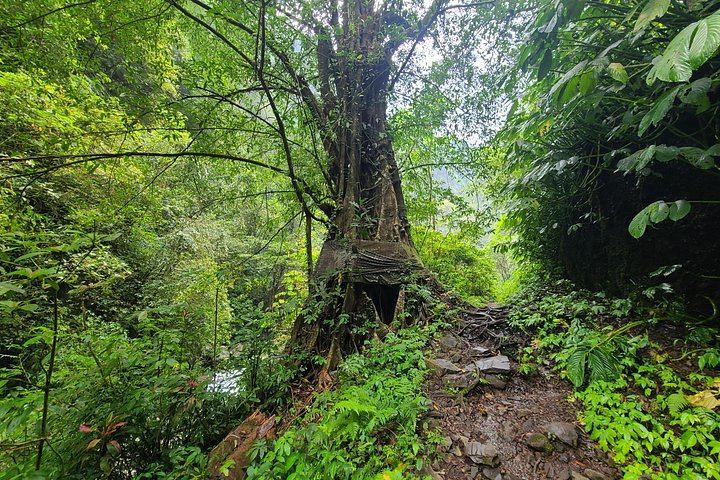 Lemukih Village Trek with Natural Waterslide, Water Jump, Sekumpul and Fiji Falls (10/12)