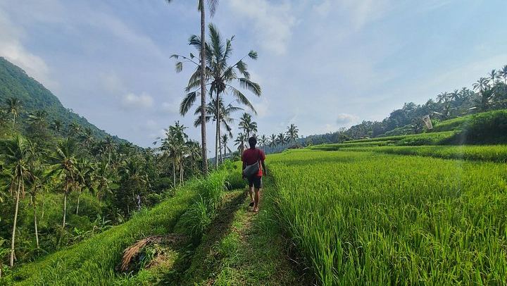 Lemukih Village Trek with Natural Waterslide, Water Jump, Sekumpul and Fiji Falls (2/12)