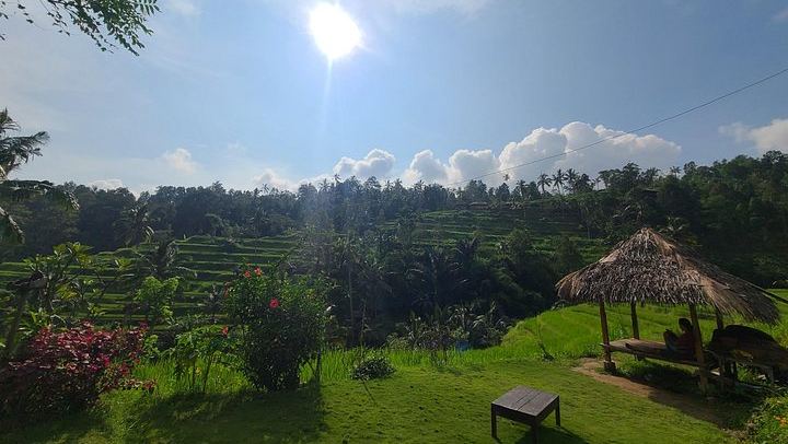 Lemukih Village Trek with Natural Waterslide, Water Jump, Sekumpul and Fiji Falls (3/12)