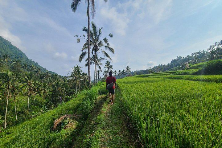 Lemukih Village Trek with Natural Waterslide, Water Jump, Sekumpul and Fiji Falls (2/12)