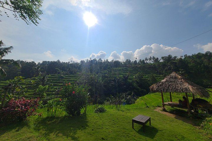 Lemukih Village Trek with Natural Waterslide, Water Jump, Sekumpul and Fiji Falls (3/12)