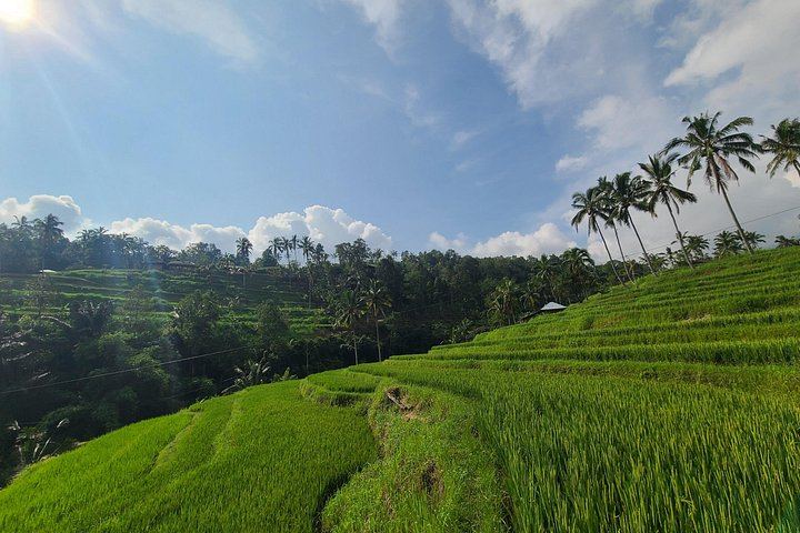 Lemukih Village Trek with Natural Waterslide, Water Jump, Sekumpul and Fiji Falls (4/12)