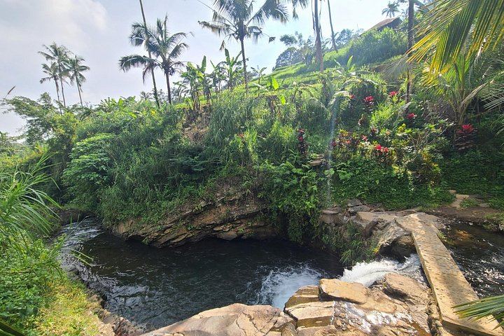 Lemukih Village Trek with Natural Waterslide, Water Jump, Sekumpul and Fiji Falls (6/12)