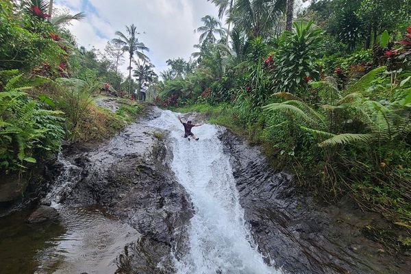 Lemukih Village Trek with Natural Waterslide, Water Jump, Sekumpul and Fiji Falls