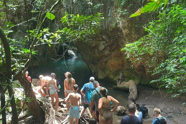 La Leona Waterfall Hike with Lunch, Hotel Pickup and Canyon Swim (10/12)