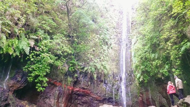 Rabaçal Levada Hike, 17 km: 25 Fontes, Risco and Lagoa do Vento, Harder Small-Group Walk (1/9)