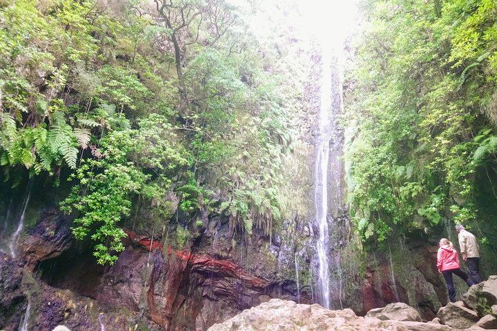 Rabaçal Levada Hike, 17 km: 25 Fontes, Risco and Lagoa do Vento, Harder Small-Group Walk (1/9)