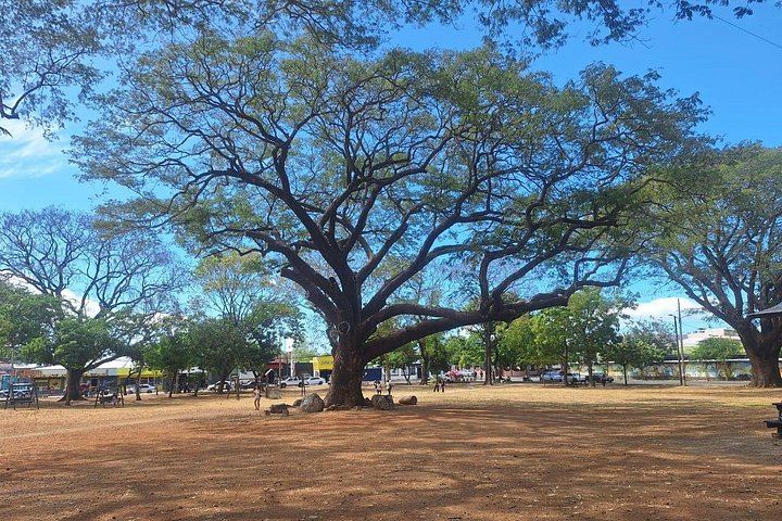 Llanos del Cortés Hidden Pool Swim, Donde Pipe Buffet Lunch and Liberia White City Walk (10/11)