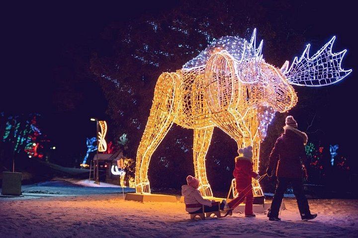 Toronto Winter Festival of Lights Bus Tour to Niagara Falls with Floral Clock and Chapel (11/12)