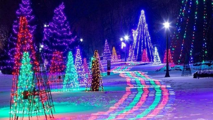 Toronto Winter Festival of Lights Bus Tour to Niagara Falls with Floral Clock and Chapel (2/12)