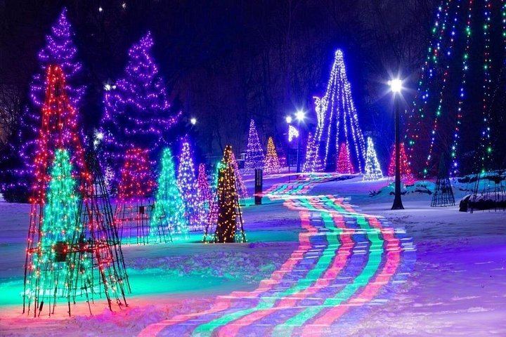 Toronto Winter Festival of Lights Bus Tour to Niagara Falls with Floral Clock and Chapel (2/12)