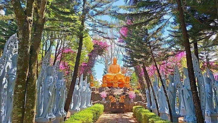 Small-Group Dalat Countryside Tour: Pongour Falls, Van Thanh Roses, Silk and Coffee (3/12)