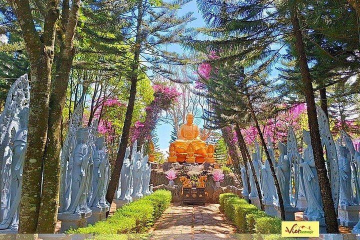 Small-Group Dalat Countryside Tour: Pongour Falls, Van Thanh Roses, Silk and Coffee (3/12)