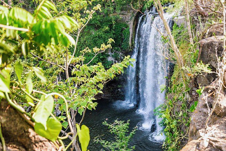 Rio Celeste Hike, Llanos de Cortes Falls and Sloth Sanctuary from Tamarindo (12/12)
