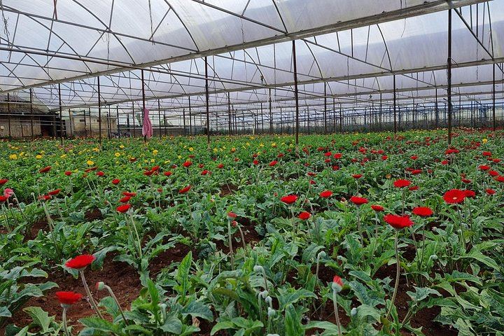 Dalat Countryside and 3 Waterfalls Group Tour: Pongour, Elephant Falls, Silk and Coffee (10/12)