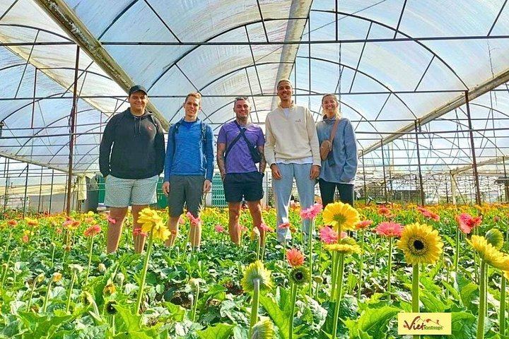 Small-Group Dalat Countryside Tour: Pongour Falls, Van Thanh Roses, Silk and Coffee (2/12)