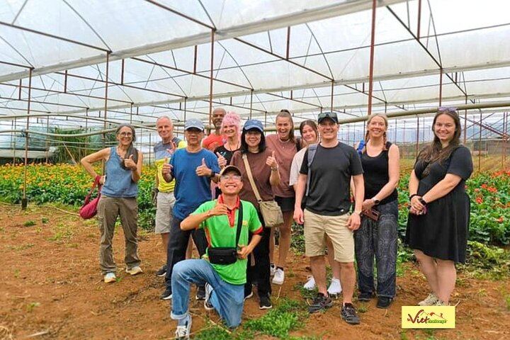 Small-Group Dalat Waterfalls Tour: Datanla, Pongour, Elephant Falls and Silk Village (5/12)