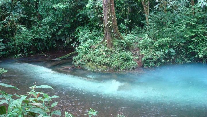 Rio Celeste Hike to Los Teñideros, Waterfall and River Swim at Don Alexis Farm (4/12)