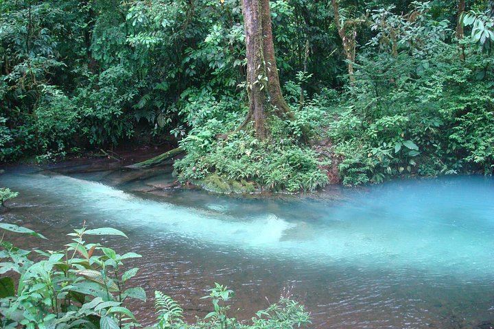 Rio Celeste Hike to Los Teñideros, Waterfall and River Swim at Don Alexis Farm (4/12)
