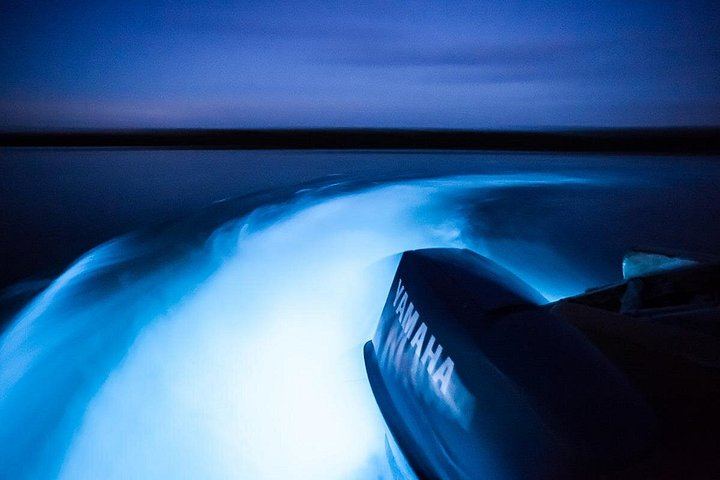 Dunn's River Falls and Luminous Lagoon Evening Tour from Montego Bay (7/12)