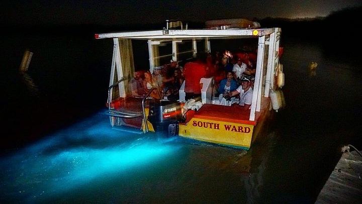 Dunn's River Falls and Luminous Lagoon Evening Tour from Montego Bay (1/12)