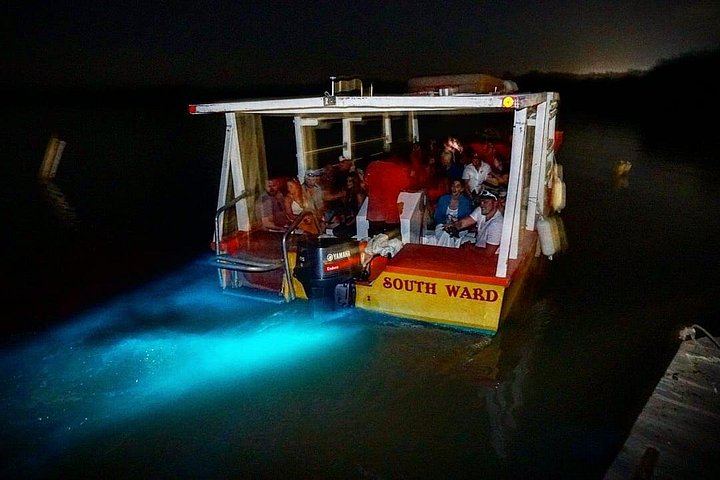 Dunn's River Falls and Luminous Lagoon Evening Tour from Montego Bay (1/12)