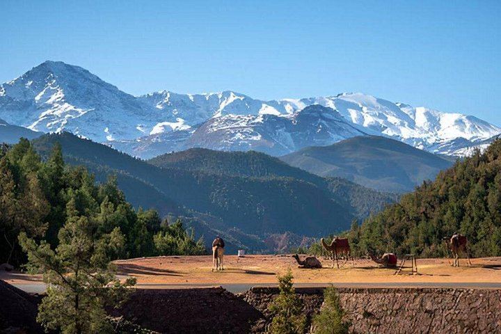 Ourika Valley Day Trip from Marrakech: Private or Shared Waterfall Hike and Artisans (5/12)