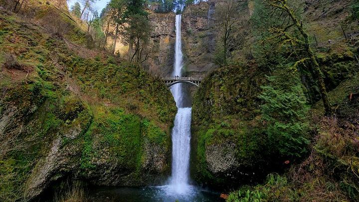 Half-Day Gorge Waterfalls Tour with Snacks, Drinks and Van Transfer, Portland (2/8)