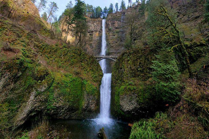 Half-Day Gorge Waterfalls Tour with Snacks, Drinks and Van Transfer, Portland (2/8)