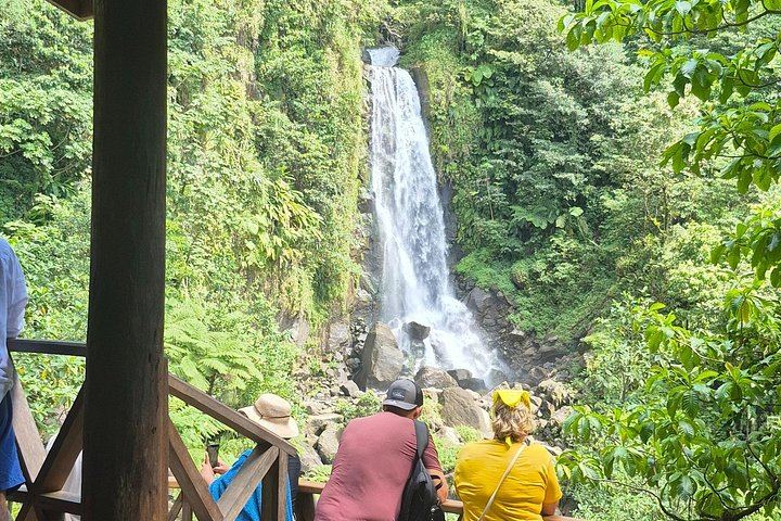 Two-Hour Scenic Drive to Trafalgar Falls and Sulphur Springs with Autop Tours (9/12)
