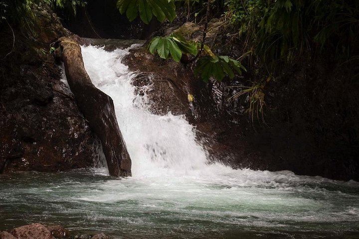 San Antonio de Damas ATV Ride to a Reserve Waterfall Swim, Palm Farm and Costa Rican Meal (6/12)