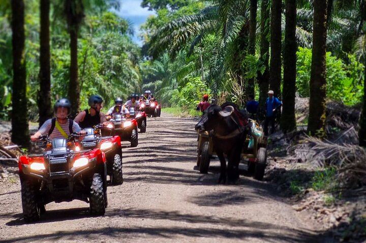 ATV Ride and Rainmaker Park Waterfall Walk near Manuel Antonio, Ranch Meal (6/12)