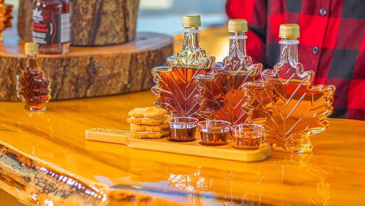 Gray Line Half-Day Niagara Falls Tour: Boat Cruise, Parkway Drive and Maple Tasting (4/6)