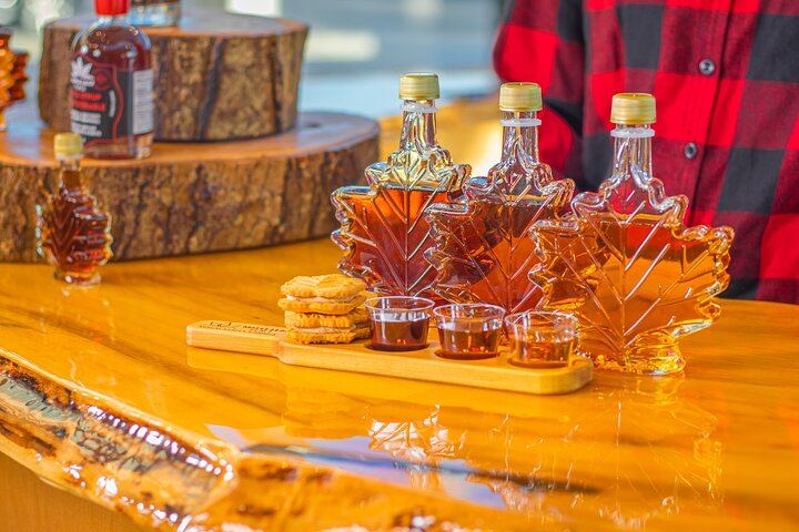 Gray Line Half-Day Niagara Falls Tour: Boat Cruise, Parkway Drive and Maple Tasting (4/6)