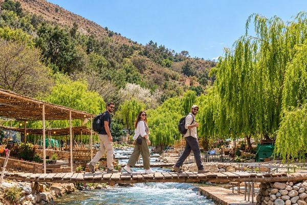 Atlas Mountains Small Group Day Trip from Marrakech: Setti Fatma Hike and Argan Tea