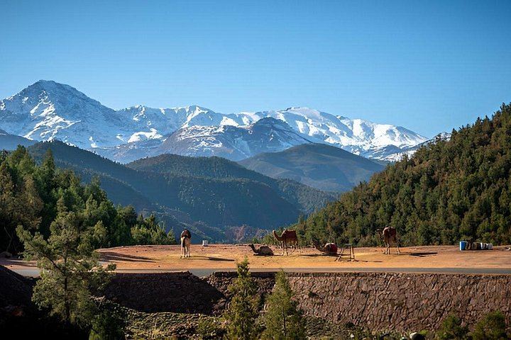 Marrakech Atlas Mountains Day Trip: Ourika Valley, Berber House and Women's Cooperative (9/12)