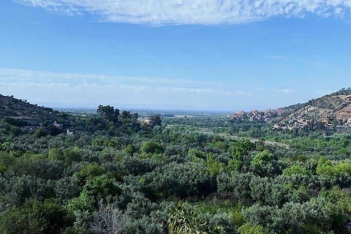 Atlas Mountains Small Group Day Trip from Marrakech: Setti Fatma Hike and Argan Tea (8/12)
