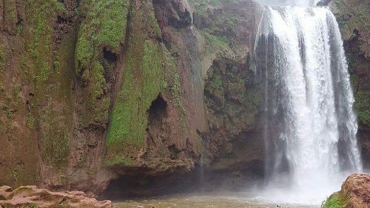 Ouzoud Waterfalls Day Trip from Marrakech, the Nearest Escape with Boat and Trekking (3/5)