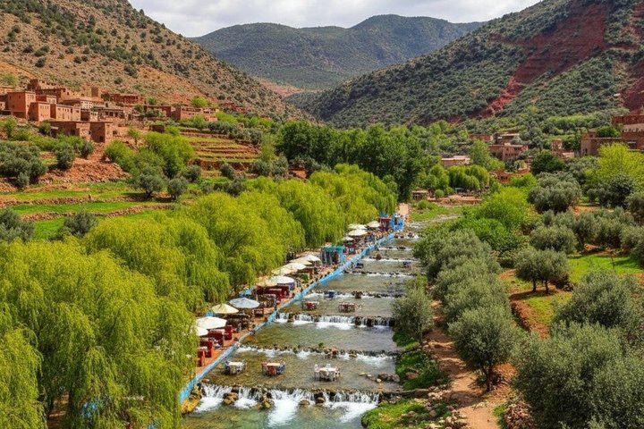 Private or Shared Ourika Valley Day Trip from Marrakech with Waterfalls and Berber Meal (2/8)