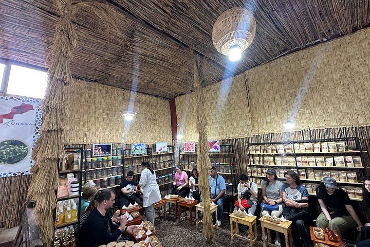 Ourika Valley Day Trip from Marrakech with Berber House, Argan Cooperative and Hike (12/12)