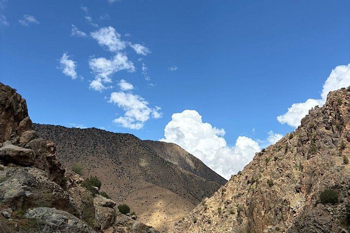 Ourika Valley Day Trip from Marrakech with Berber House, Argan Cooperative and Hike (11/12)
