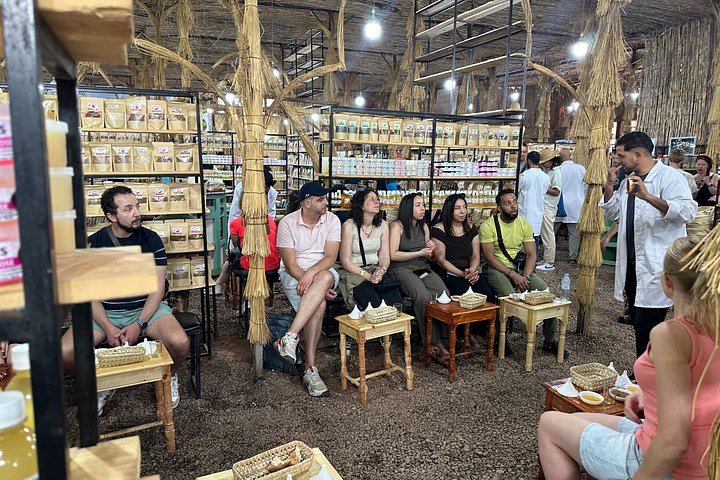 Ourika Valley Day Trip from Marrakech with Berber House, Argan Cooperative and Hike (8/12)