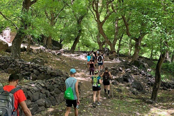 Ourika Waterfall Day Trip from Marrakech with Dar Zite Visit and Optional River Lunch (12/12)